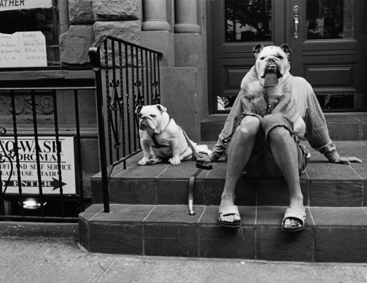 Photographie de Elliott Erwitt – Exposition ‘Modèle animal’ – Visite d’exposition en présence d’ActuProvence